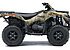 2019 Kawasaki Brute Force 750 for sale 200618869